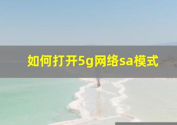 如何打开5g网络sa模式