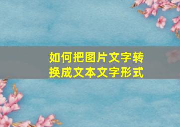 如何把图片文字转换成文本文字形式