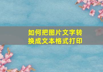 如何把图片文字转换成文本格式打印