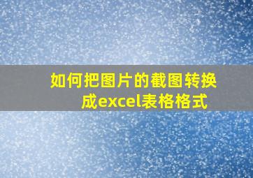 如何把图片的截图转换成excel表格格式