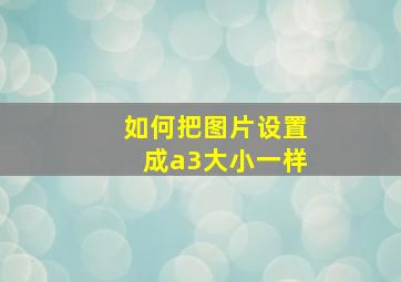 如何把图片设置成a3大小一样