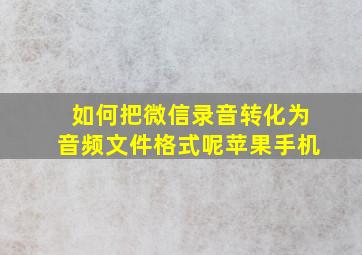 如何把微信录音转化为音频文件格式呢苹果手机