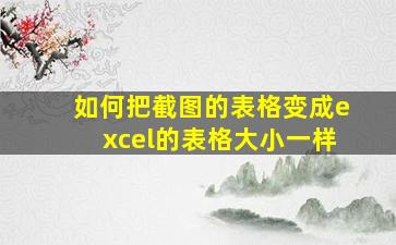 如何把截图的表格变成excel的表格大小一样