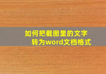 如何把截图里的文字转为word文档格式