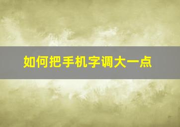 如何把手机字调大一点