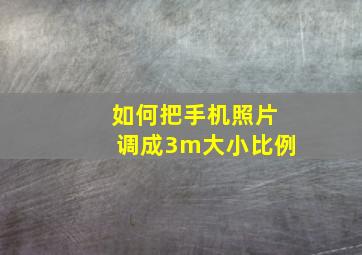 如何把手机照片调成3m大小比例