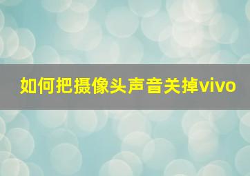 如何把摄像头声音关掉vivo