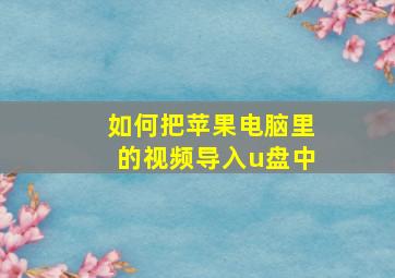 如何把苹果电脑里的视频导入u盘中