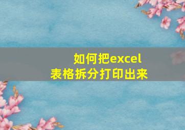 如何把excel表格拆分打印出来