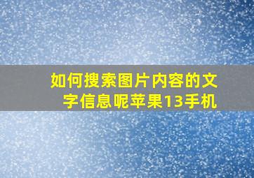 如何搜索图片内容的文字信息呢苹果13手机