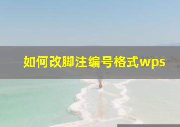 如何改脚注编号格式wps