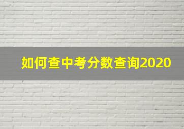 如何查中考分数查询2020