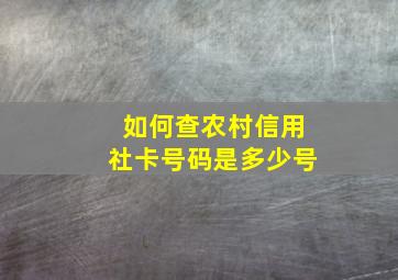 如何查农村信用社卡号码是多少号