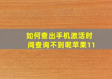 如何查出手机激活时间查询不到呢苹果11