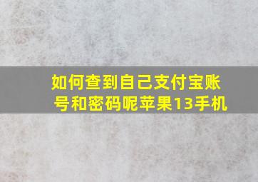 如何查到自己支付宝账号和密码呢苹果13手机