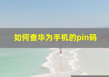 如何查华为手机的pin码