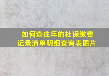 如何查往年的社保缴费记录清单明细查询表图片