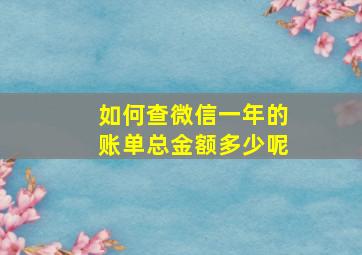 如何查微信一年的账单总金额多少呢