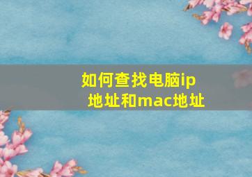 如何查找电脑ip地址和mac地址