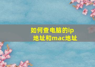 如何查电脑的ip地址和mac地址