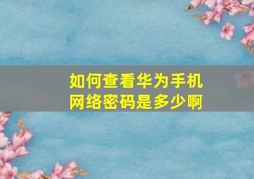 如何查看华为手机网络密码是多少啊