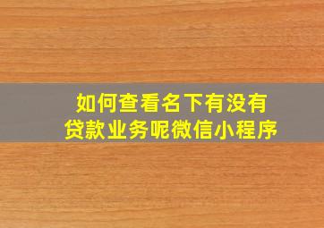 如何查看名下有没有贷款业务呢微信小程序