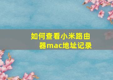 如何查看小米路由器mac地址记录