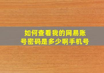 如何查看我的网易账号密码是多少啊手机号