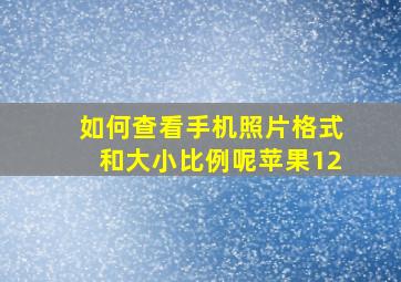 如何查看手机照片格式和大小比例呢苹果12