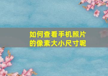 如何查看手机照片的像素大小尺寸呢