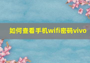 如何查看手机wifi密码vivo