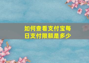 如何查看支付宝每日支付限额是多少