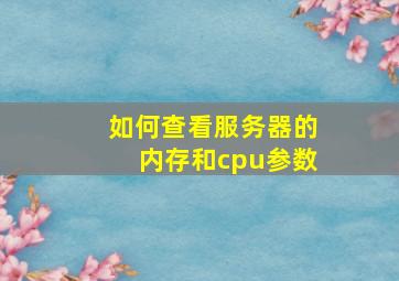 如何查看服务器的内存和cpu参数