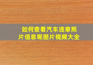 如何查看汽车违章照片信息呢图片视频大全