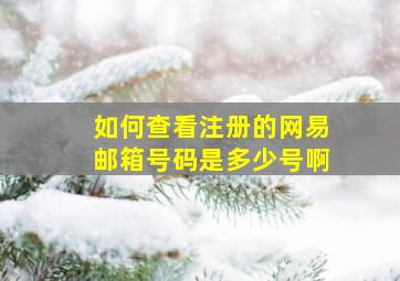 如何查看注册的网易邮箱号码是多少号啊