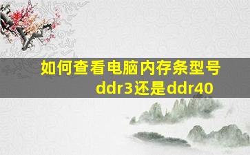 如何查看电脑内存条型号ddr3还是ddr40