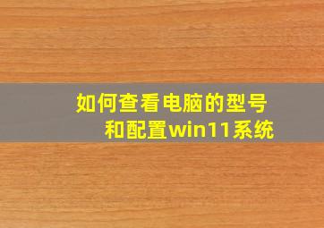 如何查看电脑的型号和配置win11系统