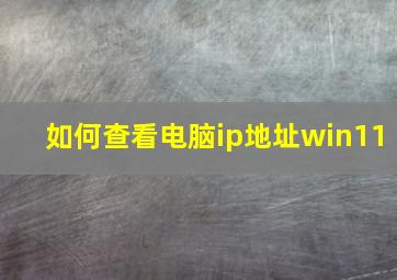 如何查看电脑ip地址win11