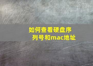 如何查看硬盘序列号和mac地址