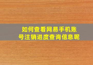 如何查看网易手机账号注销进度查询信息呢