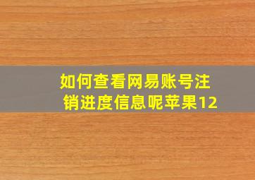 如何查看网易账号注销进度信息呢苹果12