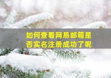 如何查看网易邮箱是否实名注册成功了呢