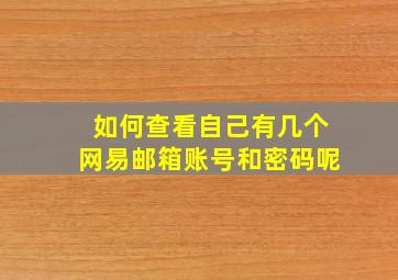 如何查看自己有几个网易邮箱账号和密码呢