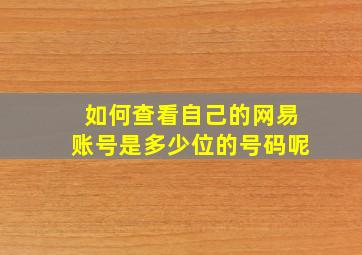 如何查看自己的网易账号是多少位的号码呢