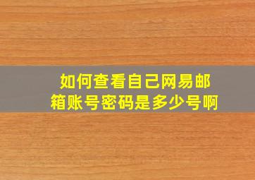 如何查看自己网易邮箱账号密码是多少号啊