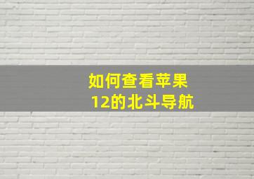 如何查看苹果12的北斗导航