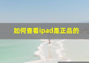 如何查看ipad是正品的