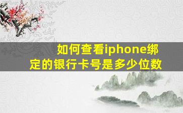 如何查看iphone绑定的银行卡号是多少位数