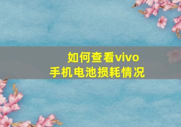 如何查看vivo手机电池损耗情况