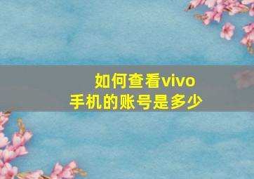 如何查看vivo手机的账号是多少